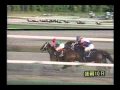 2002年 第15回マイルチャンピオンシップ南部杯（GⅠ）