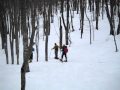 雪の乳頭温泉郷付近・ブナの森をスノーシュー（洋風かんじき）で歩く