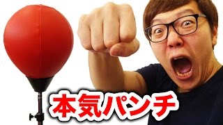 パンチングボール本気で殴りまくってみたらアクシデント連発…