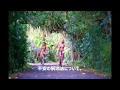 ワーキングホリデー　オーストラリア　ワーホリ　留学