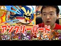 【パズドラ】アングリーバードコラボ 黄金級 にクリシュナで挑戦！