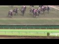 2014 優駿牝馬 JAPANESE OAKS ヌーヴォレコルト Nuovo Record