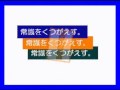 ★ついに公開★ベランダ菜園で新鮮な野菜作り★プロが教える作り方