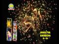 RAMSON FIREWORKS - JHOOLTHA BAGEECHA IS - 04