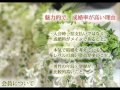 【 東京都 結婚相談 ラヴィアン 】 婚活 お見合い相談