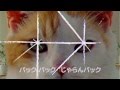 いいなCM　リクルート　じゃらん　にゃらん