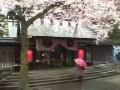 福井県敦賀市　　金ヶ崎宮の花換祭