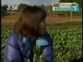 無農薬野菜ナチュラルファーミング