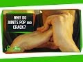 Why Do Joints Pop And Crack?