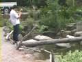 野郎キャンプ2008その3