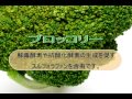 バナナダイエットに対抗して
