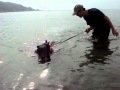 2011/7/3 はな海で泳ぐ@輪島袖ヶ浜