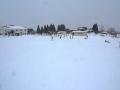 2010/1/17　箱館山スキー場　1