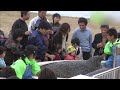 越前松島水族館 - 地域情報動画サイト　街ログ