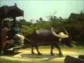ビオスの丘
