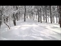 スキージャム勝山　2013/02/10