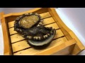 獲れたて！出島荘の絶品アワビ