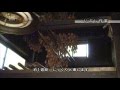 動画で観る福井　「伝統的手作業で燻した干し柿　今庄つるし柿」