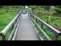 愛知県茶臼山矢筈池湖畔