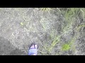 福井県高浜さんさく_120728