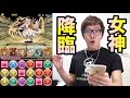 【パズドラ】女神降臨地獄級に挑戦！目指せノーコン！【ヒカキンゲームズ】
