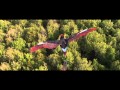 「ウォーキング with ダイナソー」特別映像