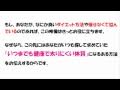 健康で太りにくいコウヅ式体質改善ダイエットの方法