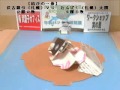 ５日目～結びの一番【伏古親分ＶＳわんぱく　平成24年7月－8月場所～5日