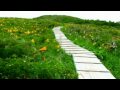 20090714 白木峰