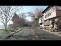 諏訪湖ちかくの桜並木 2013.4.14
