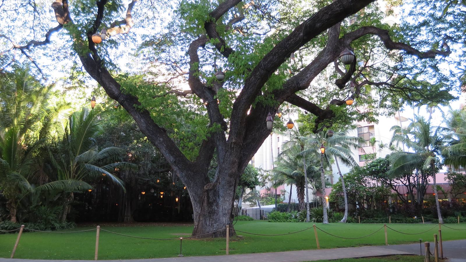 Royal Hawaiian Hotel