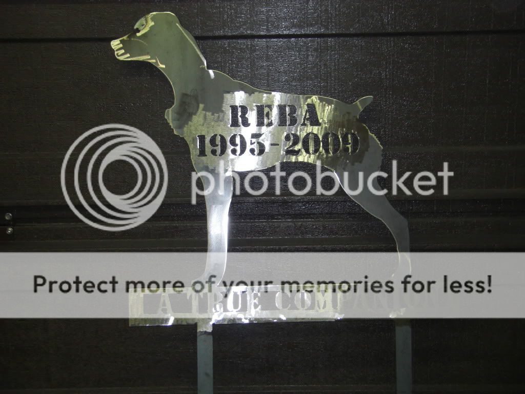 Projects With Plasma Cutter Using.