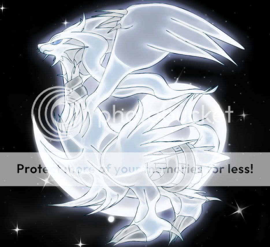 Reshiram Pictures, Images and Photos