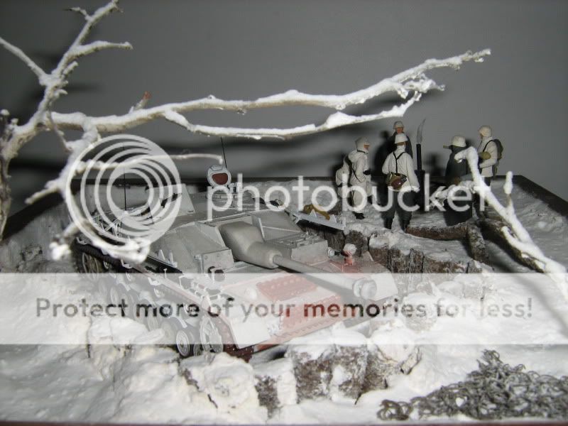 Bearded Dragon Eats tons of Crickets.