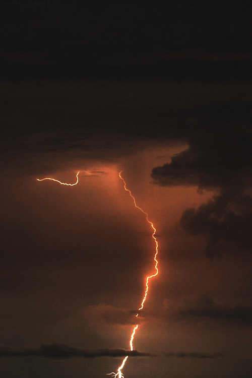  photo tumblr_mcvojo31qM1qm88dlo1_500.gif
