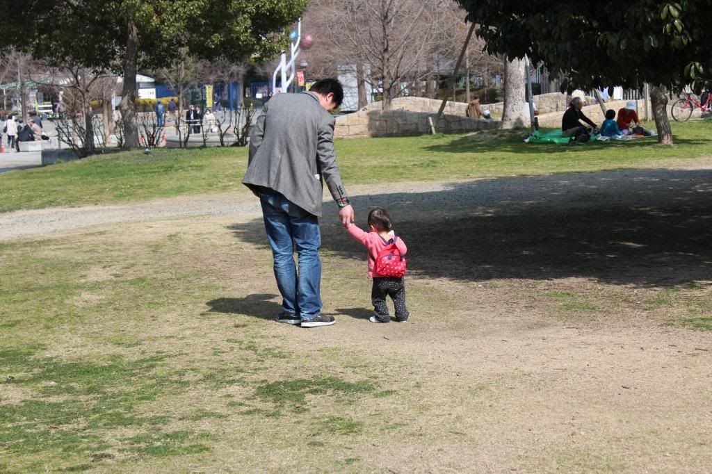  photo IMG_1984_zps04a6d6e6.jpg