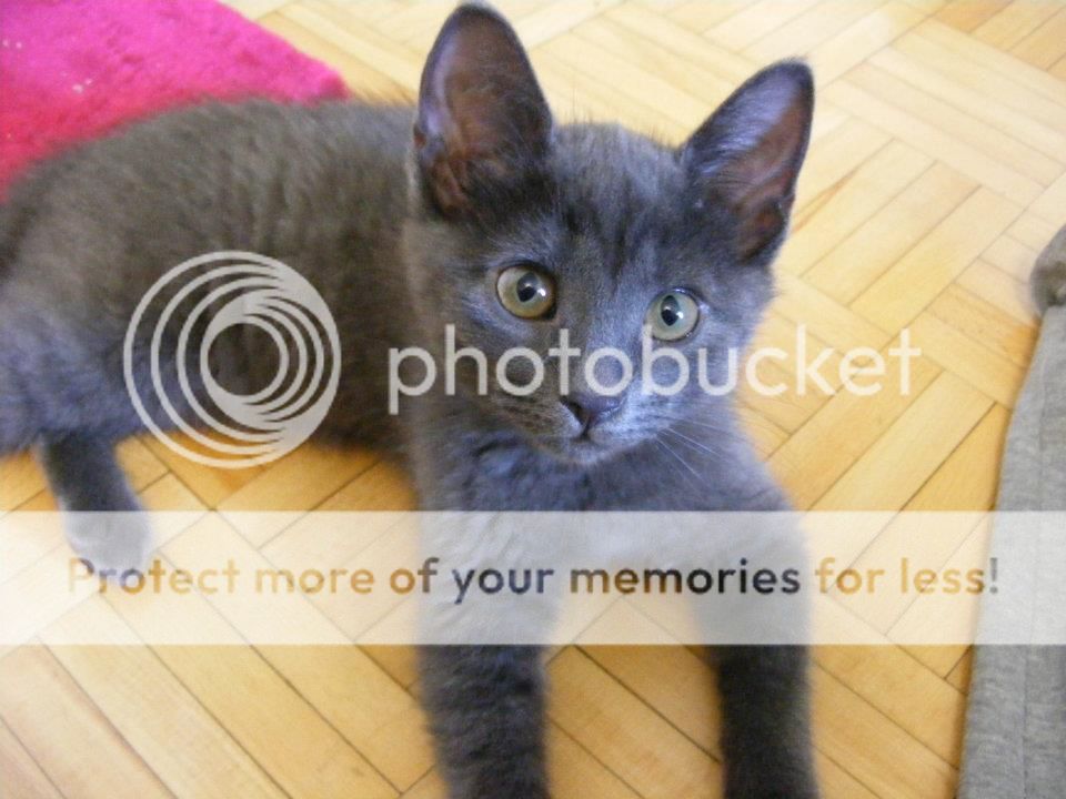  photo mia_zps618d59ac.jpg