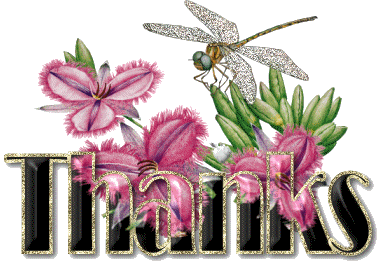  photo iz12ldqf9ig_zps1e228bfe.gif