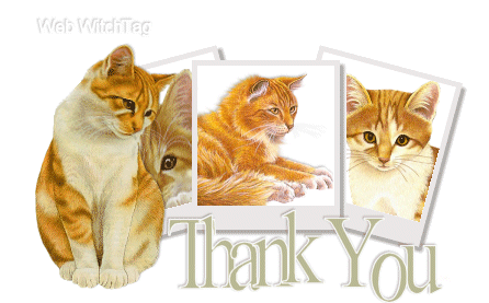  photo thank_you_041_zps7b976033.gif