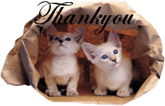  photo ty13.gif