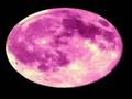 Beck - Pink Moon