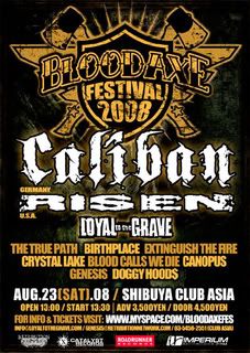 Bloodaxe Festival 2008
