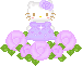  photo c4excuh484B.gif