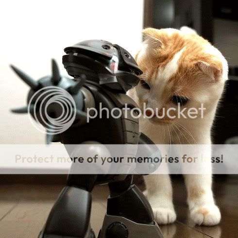 クリックすると新しいウィンドウで開きます