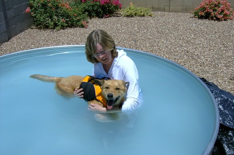 Tramadol dosage for dogs? - Yahoo!.