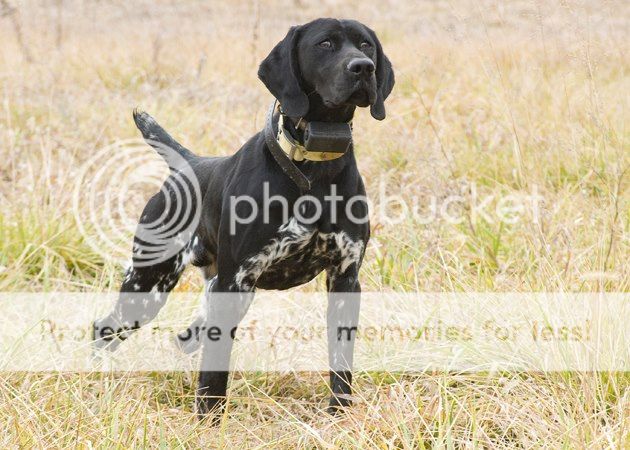  photo handsomeboy.jpg