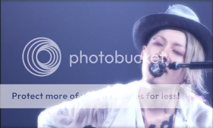 Photo Sharing and Video Hosting at Photobucket