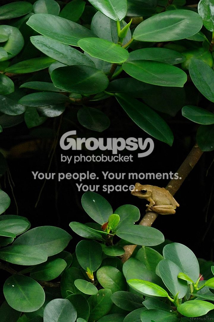 Photobucket