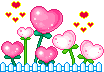  photo 14_iykim2000.gif