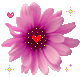  photo 1_iykim2000-4.gif